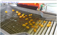 Pear Tomato Lemon Grading Sorting Machine Fruit And Vegetable Washer Machine