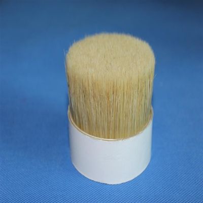 Mua Chungking trắng đôi luộc lông 76mm hoang dã tinh khiết cho chổi sơn online manufacture
