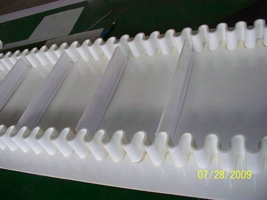 Mua Sidewall băng tải cho ngành công nghiệp thực phẩm từ nhà máy Trung Quốc cho mẫu miễn phí online manufacture