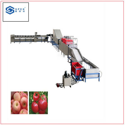 Máy Phân loại Trọng lượng Cà chua/Bơ/Cam/Táo và Máy Phân loại Trọng lượng