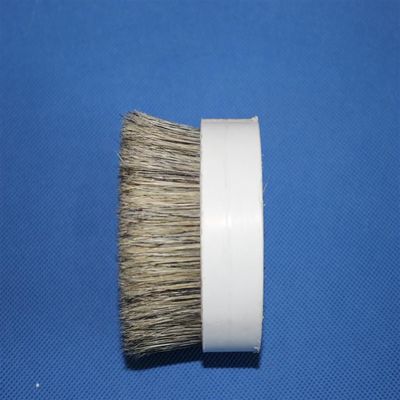 Hankow Luộc Lông Xám đôi luộc Pig Bristle 51mm Đối với thực phẩm Paint Brushes