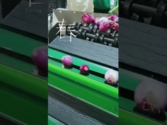 Máy rửa và chọn trái cây