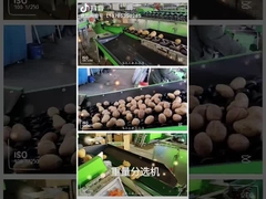 máy rửa và phân loại trái cây