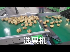 Tùy chỉnh máy phân loại rau quả