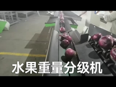 Máy phân loại và cân trái cây điện tử tự động