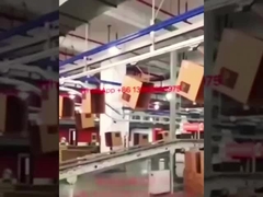 Hệ thống đóng gói carton cho nhà đóng gói