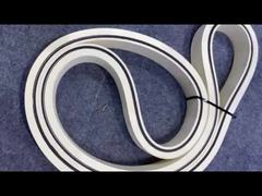 Vành băng vận chuyển tách xương cá cao su